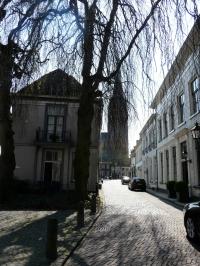 Ph. Gastelaarsstraat hoek Koepoortstraat: 'straatverbreding met beeldbepalende bomen'.