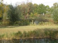 Lage linie + oude arm Oude IJssel tussen de Ooi en zuidelijk Molenveld.