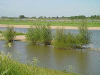 Uiterwaarden en natuurgebieden.