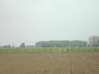 Agrarisch landschap.
