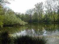 Uiterwaarden en natuurgebieden.