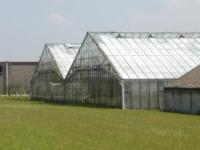 Agrarisch landschap.