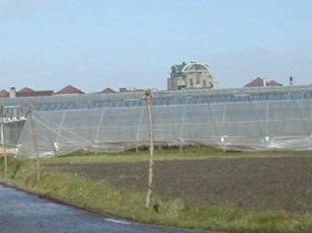 De foliekas in boog- of tunnelvorm.