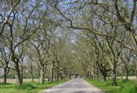 Landgoed Mari&euml;nwaerdt