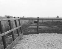 Paardenbakken in het buitengebied