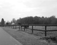 Paardenbakken in het buitengebied