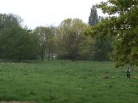 foto Parken, groengebieden en sportcomplexen