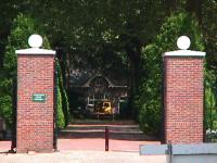 foto Stedelijk groen