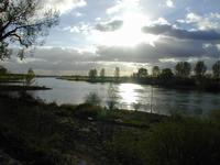 Rivier- en uiterwaardenlandschap