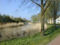 Stedelijk groen in Zuidwijken